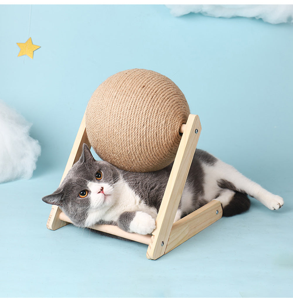 Cat catch ball