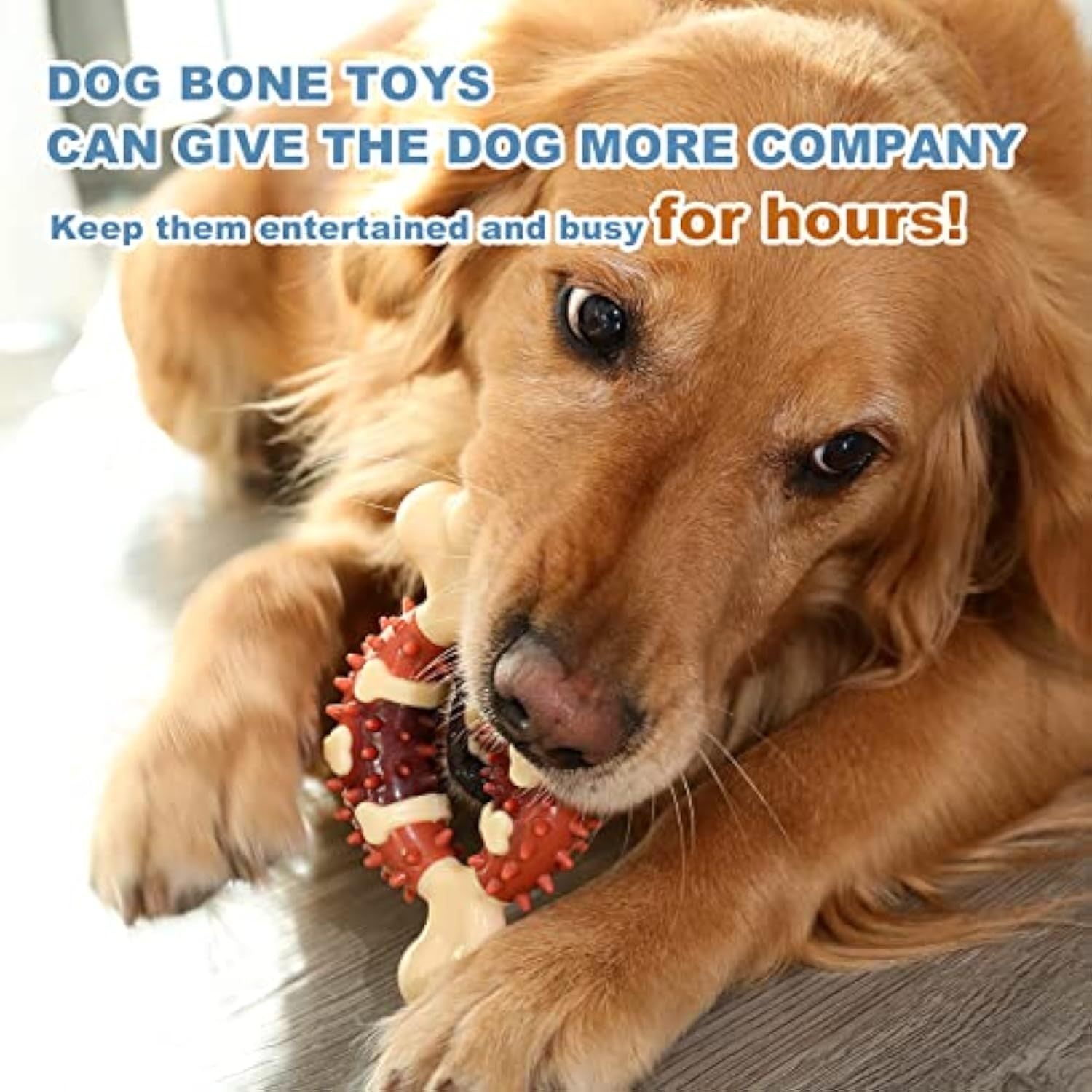 Pet Chewing Molar Toy