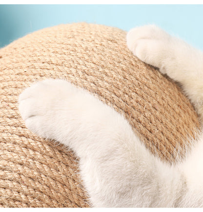 Cat catch ball