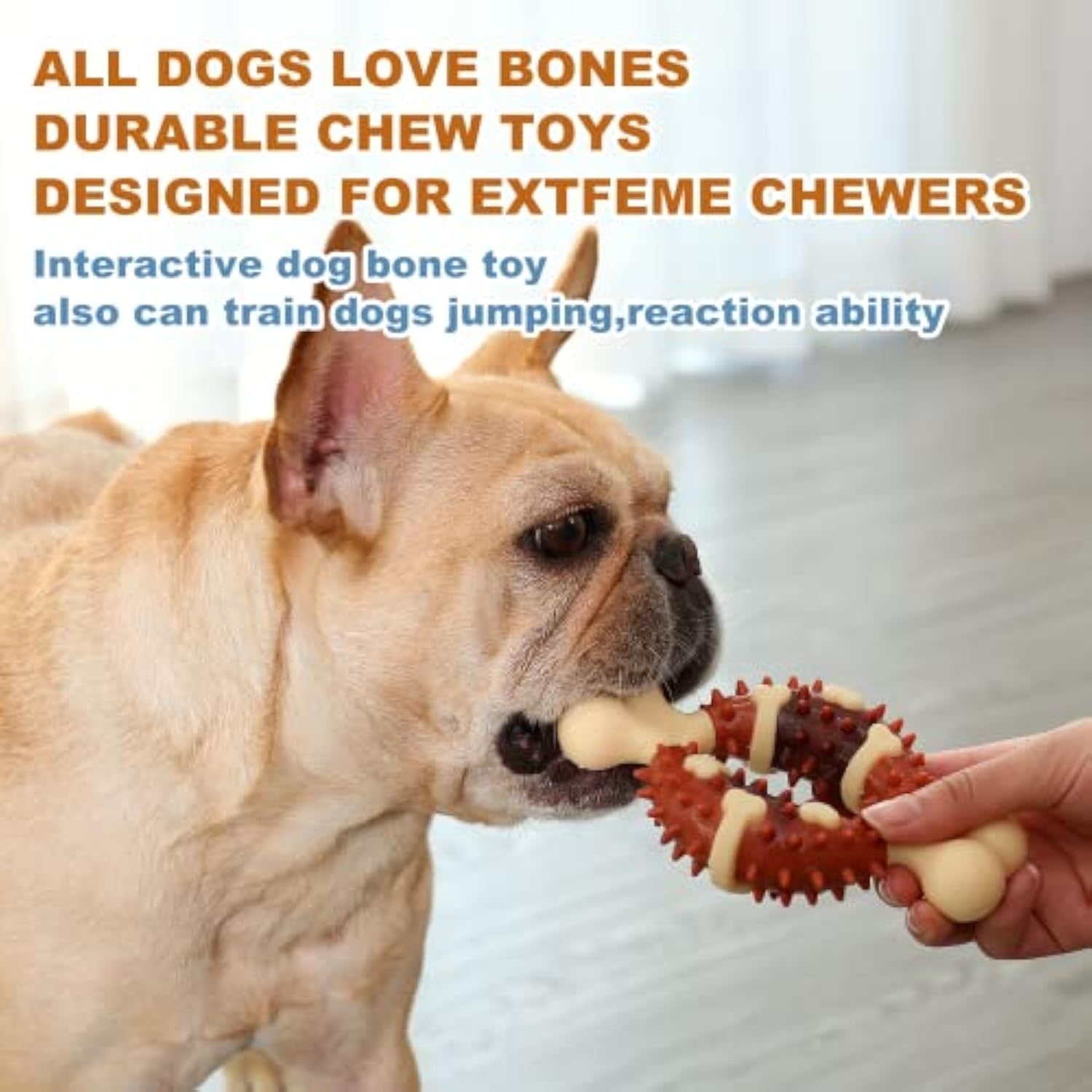 Pet Chewing Molar Toy