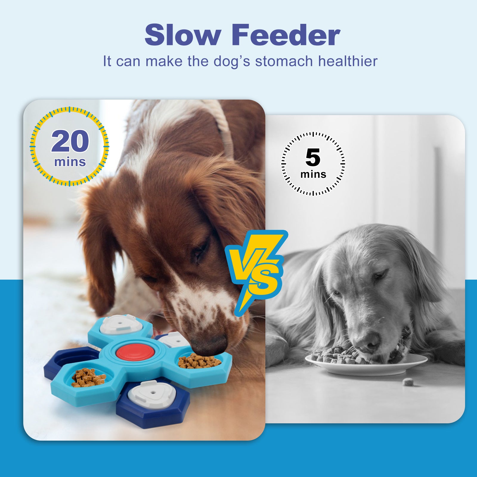 4 Layers Slow Feeder Puzzle Dog