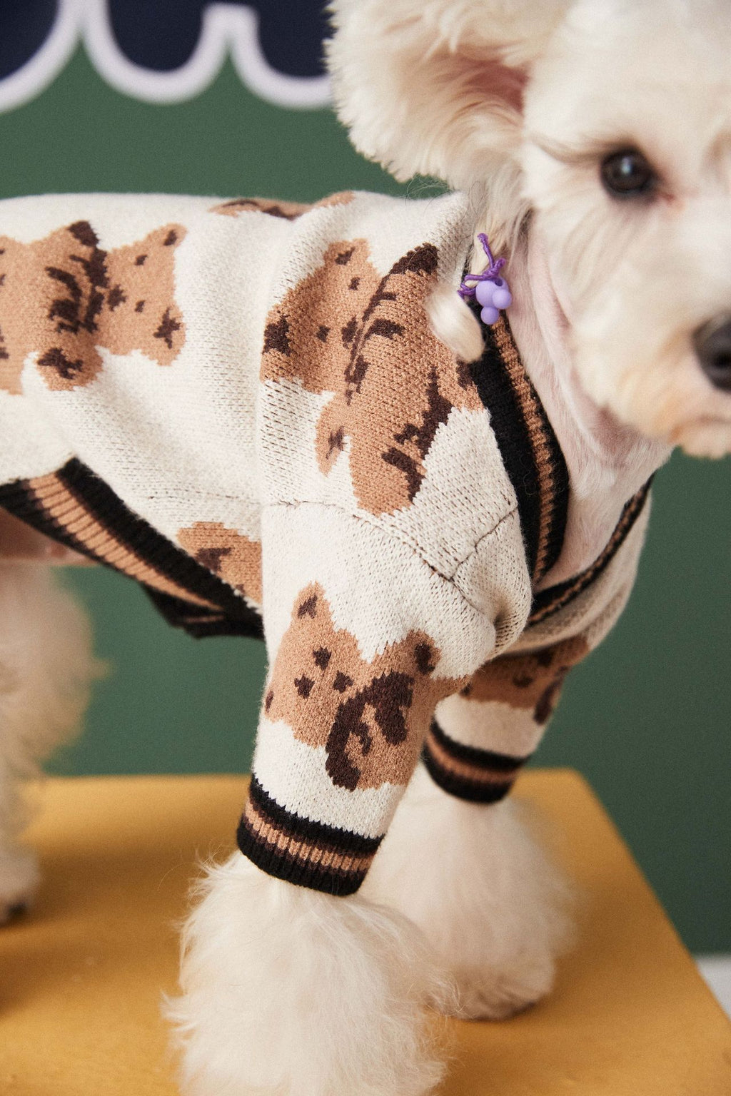 V-neck Striped Dog Sweater