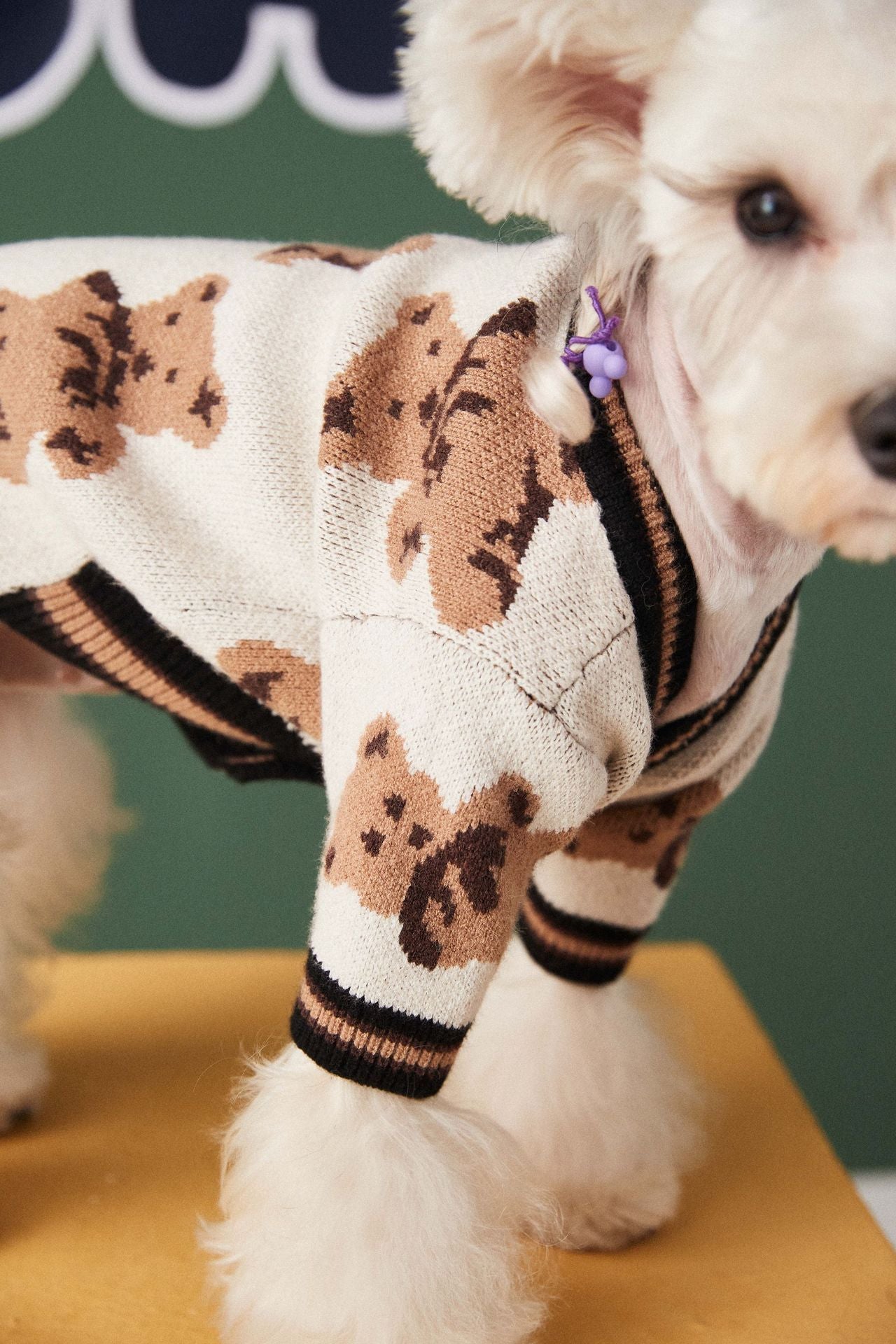 V-neck Striped Dog Sweater