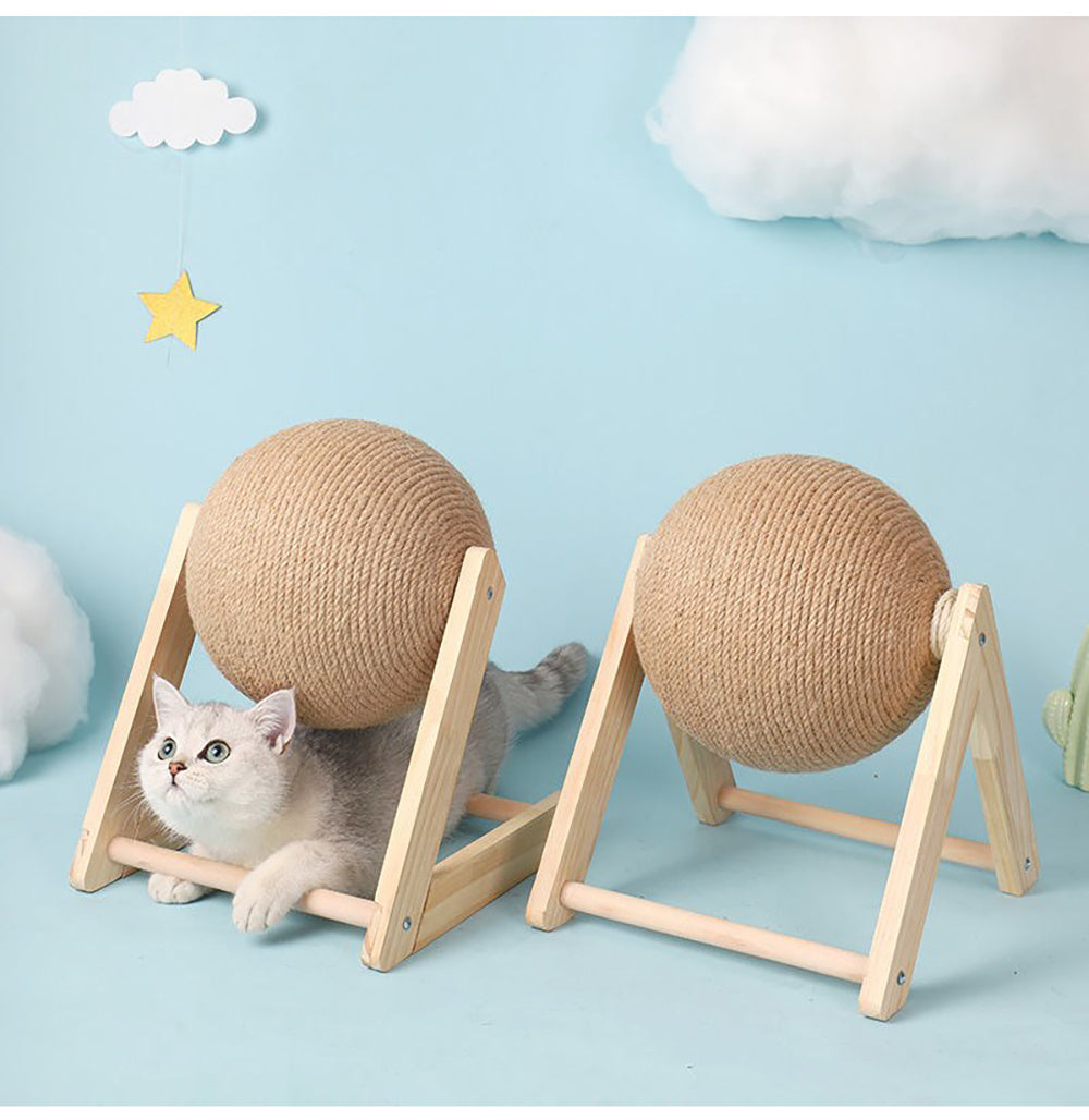 Cat catch ball