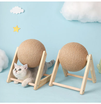 Cat catch ball