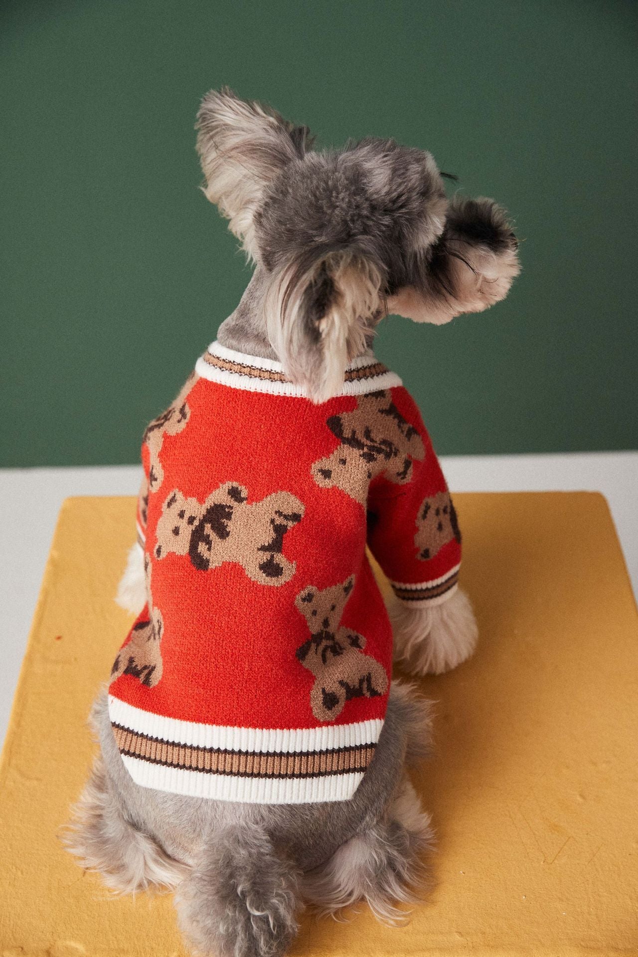 V-neck Striped Dog Sweater