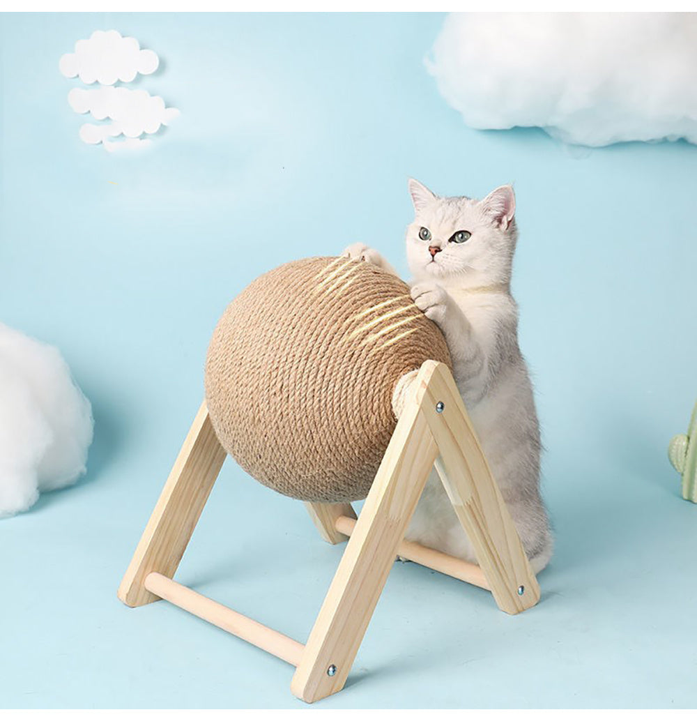 Cat catch ball