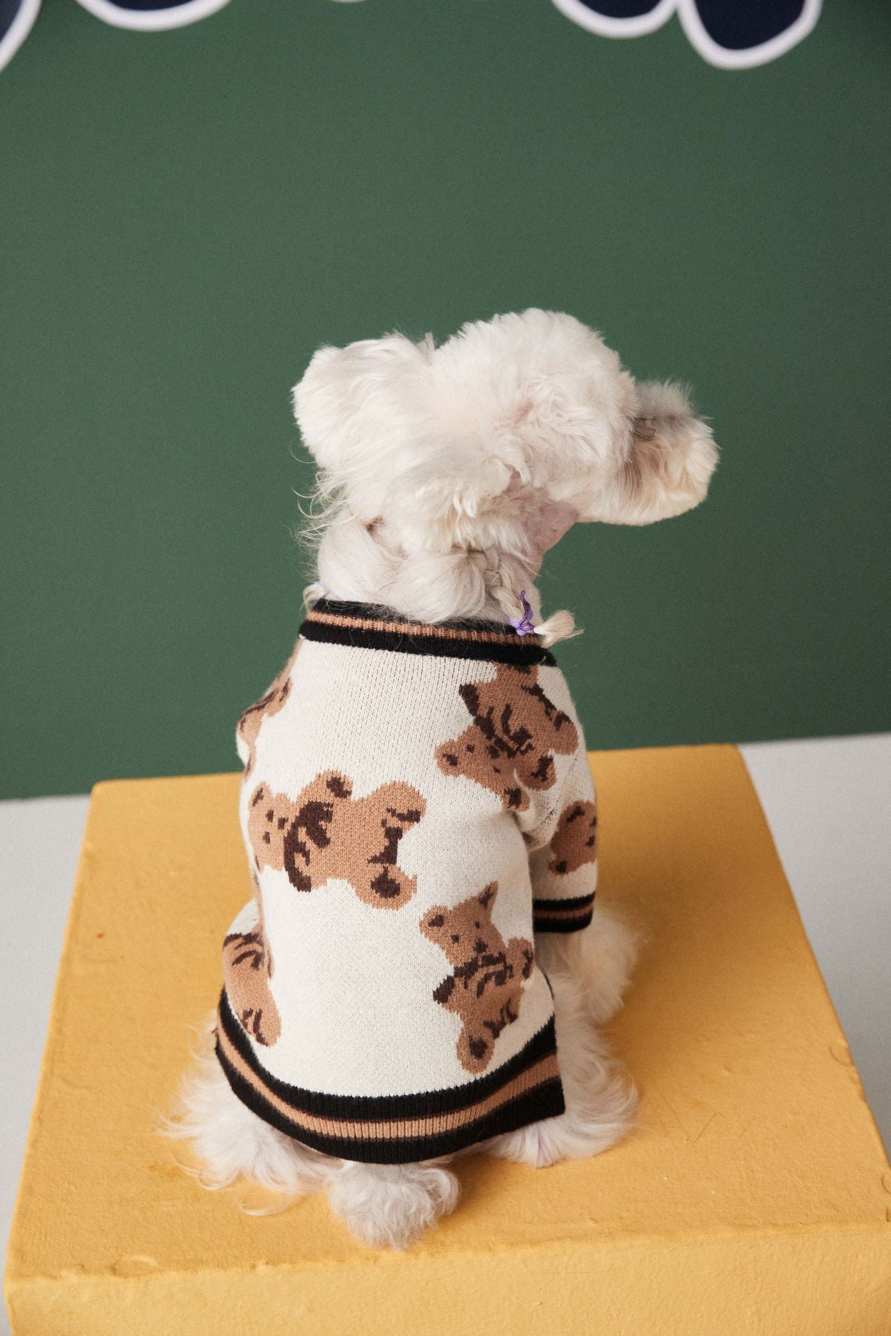 V-neck Striped Dog Sweater