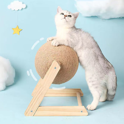 Cat catch ball