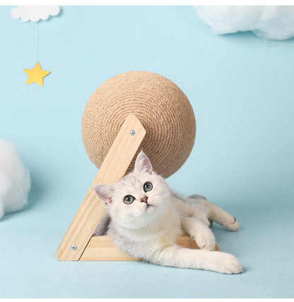 Cat catch ball