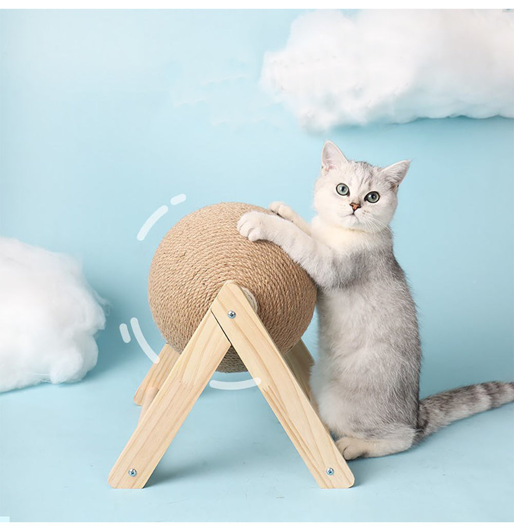 Cat catch ball