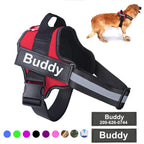 Reflective Personalised Dog Harness