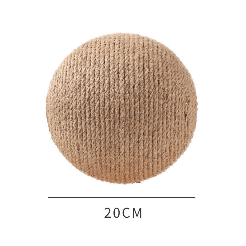 Cat catch ball