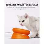 Slow Pet Feeder For Cats